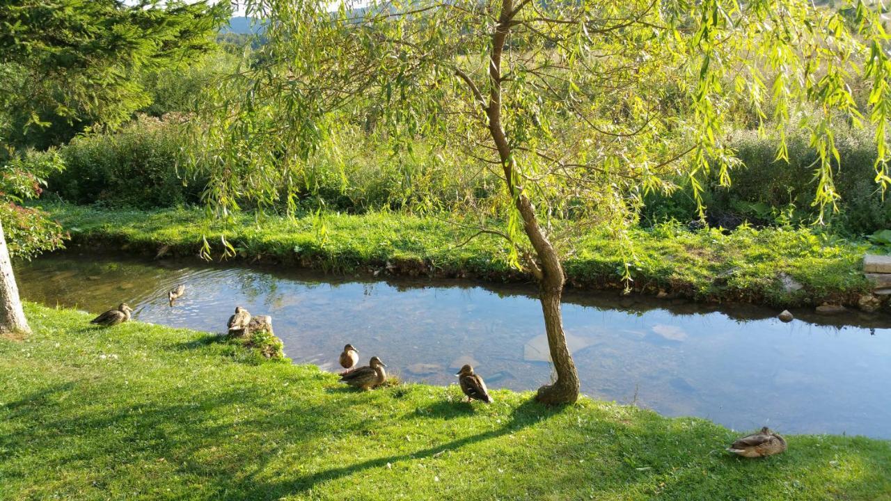 Rustic Inn River Prijeboj エクステリア 写真